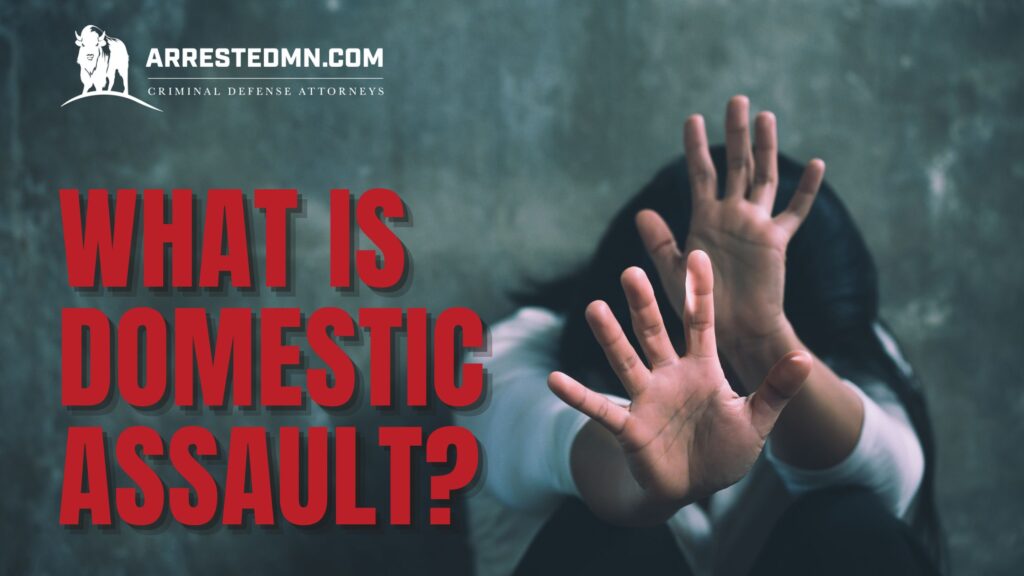 What is domestic assault